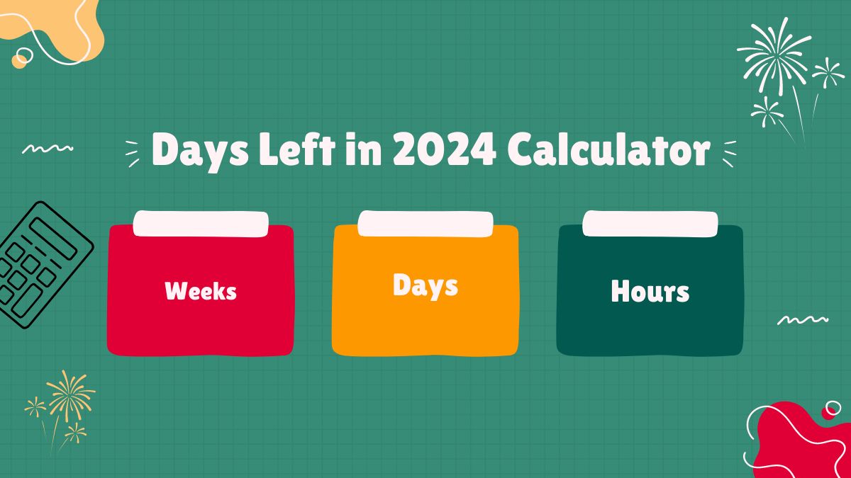 Days Left in 2024 Calculator