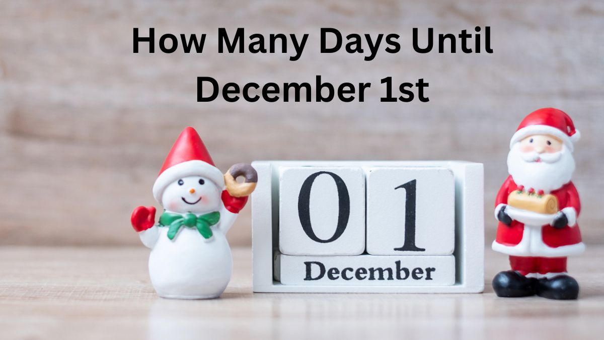 How Many Days Until December 1st