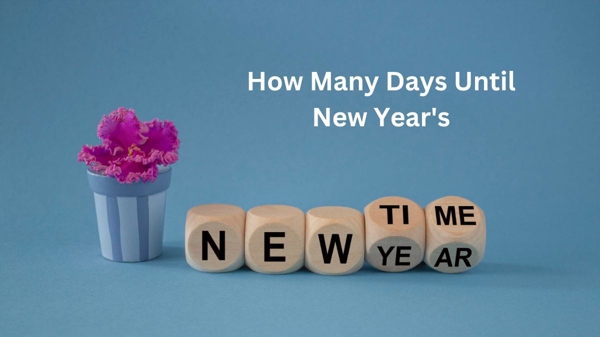 How Many Days To New Years 2025 Elyn Norene