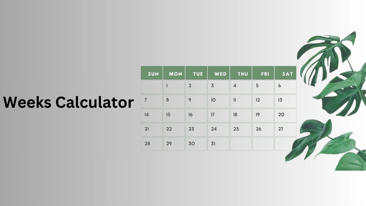 Weeks Calculator