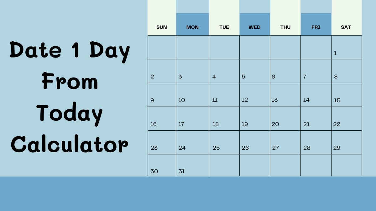 Date 1 Day From Today Calculator